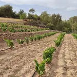 Cal Ros Bed & Breakfast Calonge de Segarra