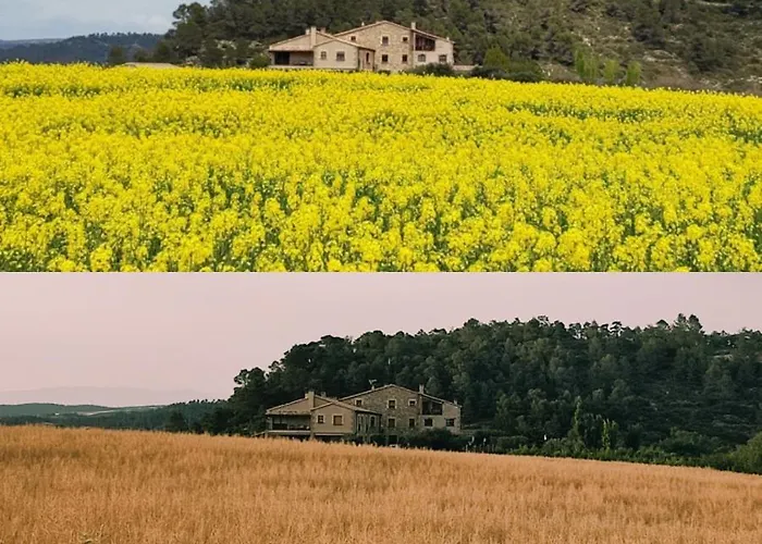 Cal Ros Bed & Breakfast