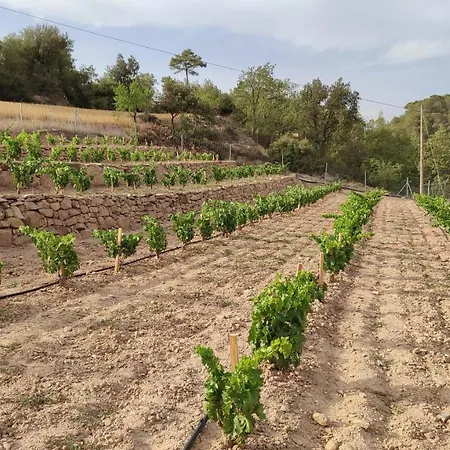 Cal Ros Bed & Breakfast Calonge de Segarra