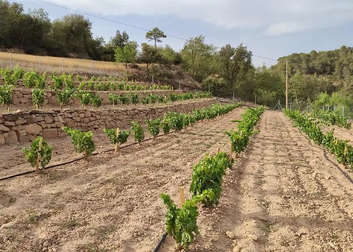 Cal Ros Frühstückspension Calonge de Segarra